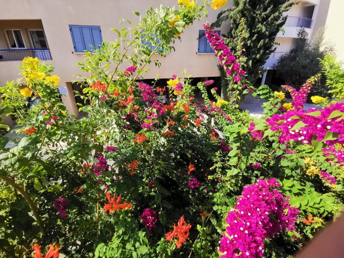 103 Regina Gardens Apartment Paphos Exterior photo
